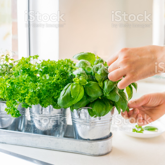 The Ultimate Guide to Commercial Kitchen Solutions in New Zealand